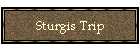 Sturgis Trip